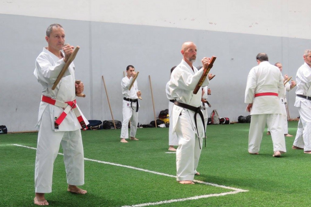 FOTOS-SEMINARIO-Ceballos-2015-11